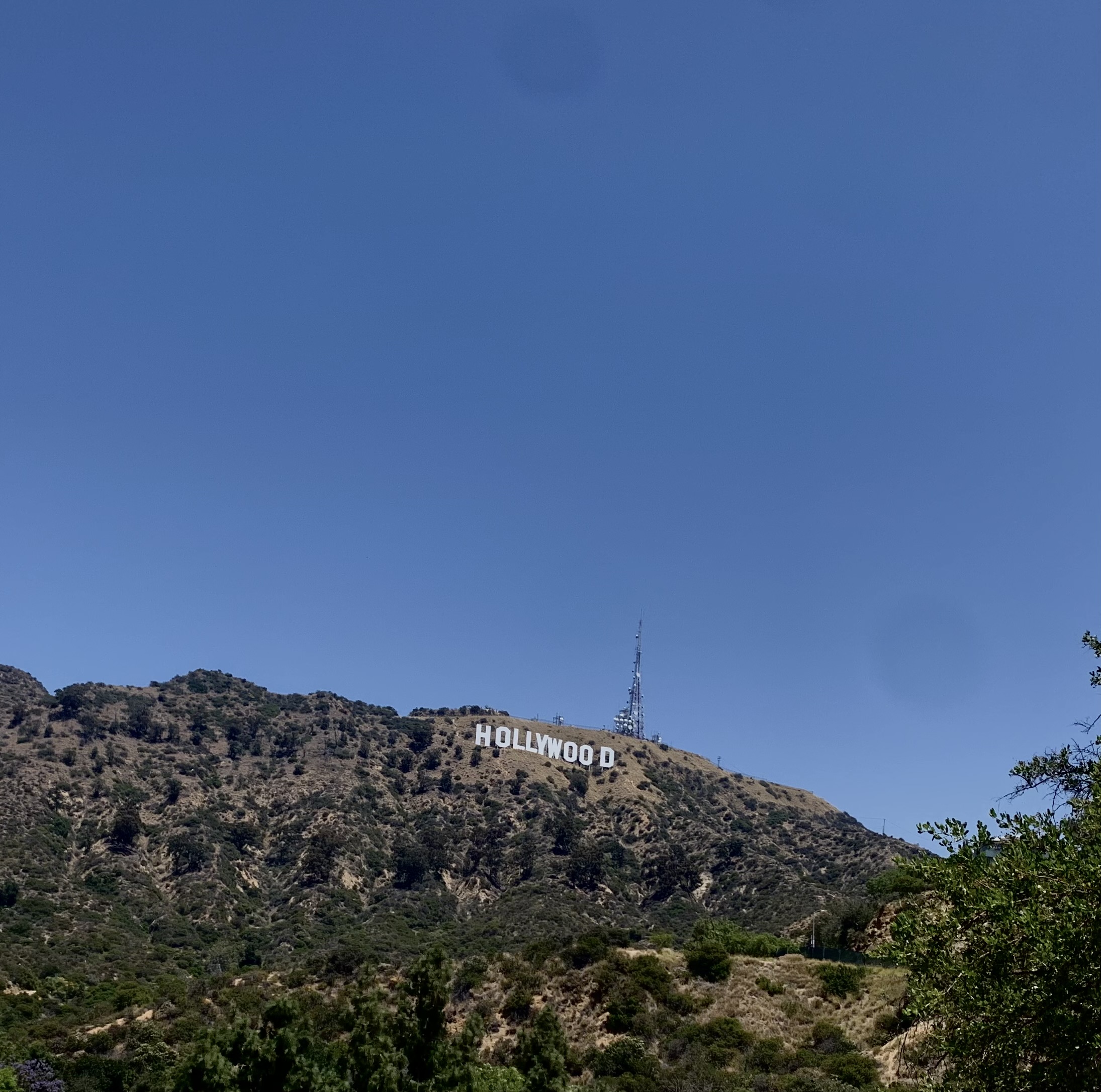 AMG Tours group experience in Los Angeles